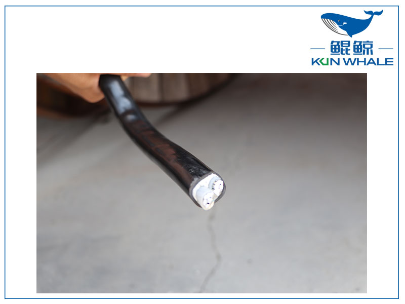 河南鄭州河南太平洋電纜廠家告訴你什么是單芯電纜